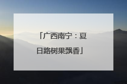 广西南宁：夏日路树果飘香