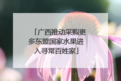 广西推动采购更多东盟国家水果进入寻常百姓家