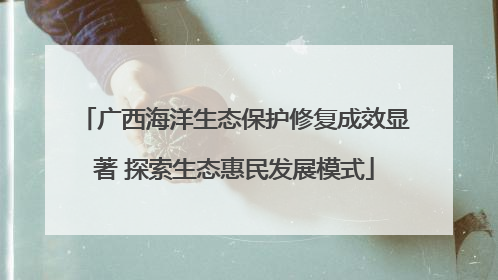 广西海洋生态保护修复成效显著 探索生态惠民发展模式