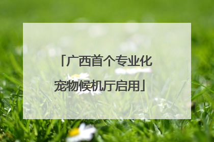 广西首个专业化宠物候机厅启用