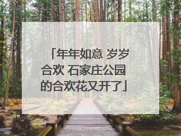年年如意 岁岁合欢 石家庄公园的合欢花又开了