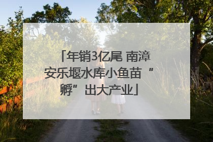 年销3亿尾 南漳安乐堰水库小鱼苗“孵”出大产业