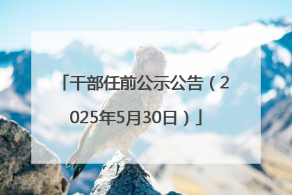 干部任前公示公告（2025年5月30日）