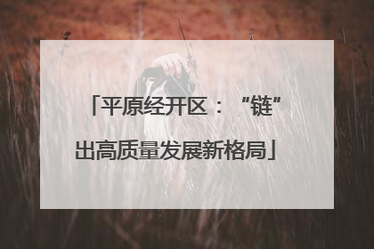 平原经开区：“链”出高质量发展新格局