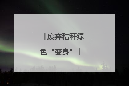 废弃秸秆绿色“变身”