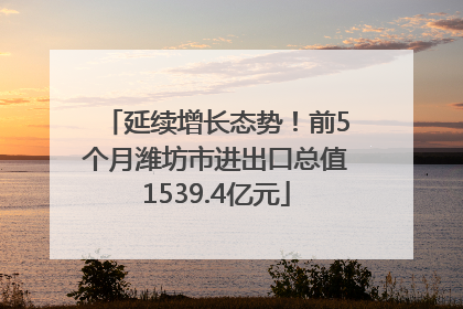 延续增长态势！前5个月潍坊市进出口总值1539.4亿元