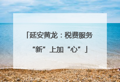 延安黄龙：税费服务“新”上加“心”