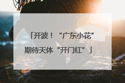 开波！“广东小花”期待天体“开门红”