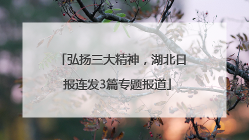 弘扬三大精神，湖北日报连发3篇专题报道