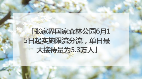张家界国家森林公园6月15日起实施限流分流，单日最大接待量为5.3万人