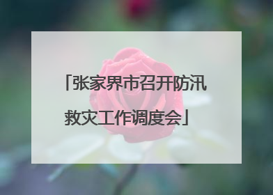 张家界市召开防汛救灾工作调度会