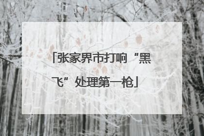 张家界市打响“黑飞”处理第一枪