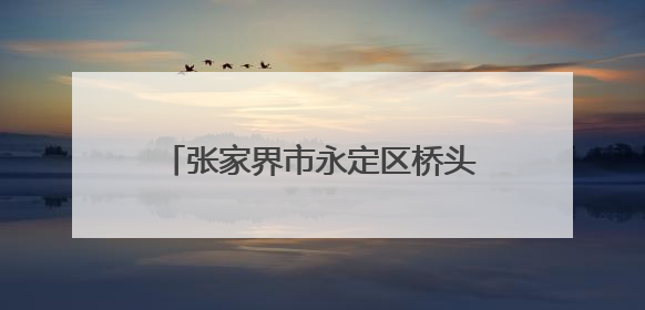 张家界市永定区桥头乡：“手挽春苗，心耕田野”春耕体验活动