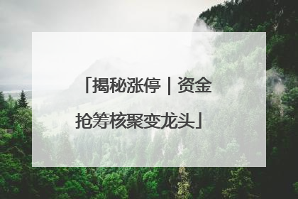 揭秘涨停｜资金抢筹核聚变龙头