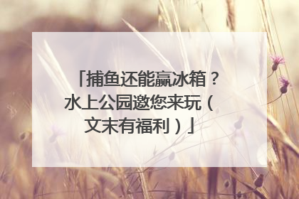 捕鱼还能赢冰箱？水上公园邀您来玩（文末有福利）