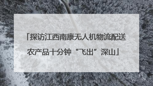 探访江西南康无人机物流配送 农产品十分钟“飞出”深山