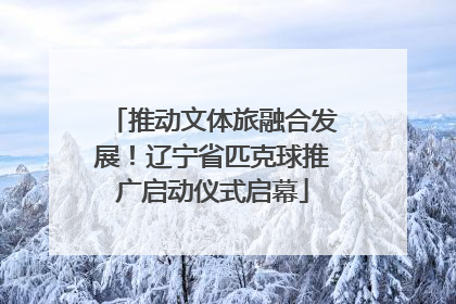 推动文体旅融合发展！辽宁省匹克球推广启动仪式启幕