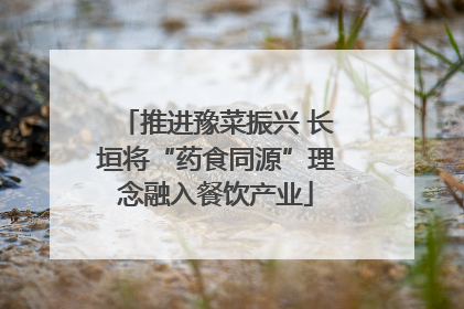 推进豫菜振兴 长垣将“药食同源”理念融入餐饮产业