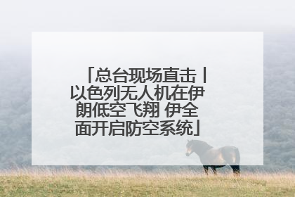 总台现场直击丨以色列无人机在伊朗低空飞翔 伊全面开启防空系统