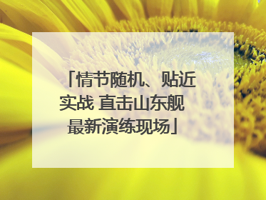 情节随机、贴近实战 直击山东舰最新演练现场