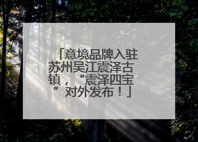 意境品牌入驻苏州吴江震泽古镇，“震泽四宝”对外发布！