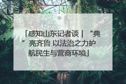 感知山东记者谈｜“典”亮齐鲁 以法治之力护航民生与营商环境
