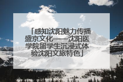 感知沈阳魅力传播盛京文化——沈阳医学院留学生沉浸式体验沈阳文旅特色