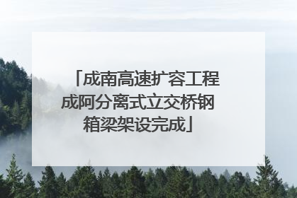成南高速扩容工程成阿分离式立交桥钢箱梁架设完成