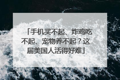 手机买不起、炸鸡吃不起、宠物养不起？这届美国人活得好难