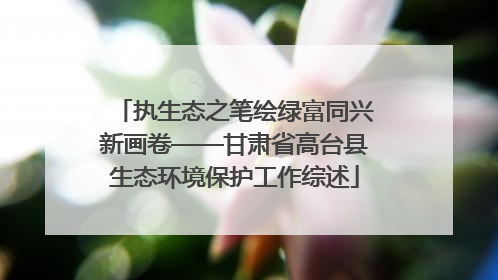 执生态之笔绘绿富同兴新画卷——甘肃省高台县生态环境保护工作综述