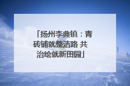 扬州李典镇：青砖铺就整洁路 共治绘就新田园