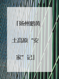 扬州鹅黄土高原“安家”记