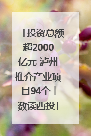 投资总额超2000亿元 泸州推介产业项目94个丨数读西投