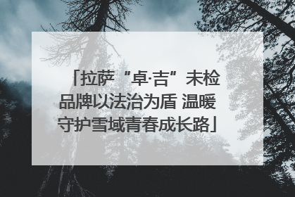 拉萨“卓·吉”未检品牌以法治为盾 温暖守护雪域青春成长路
