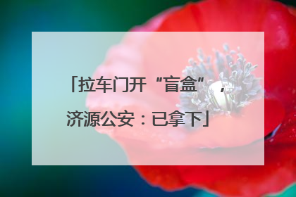 拉车门开“盲盒”，济源公安：已拿下