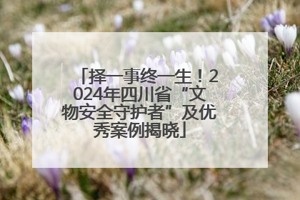 择一事终一生！2024年四川省“文物安全守护者”及优秀案例揭晓