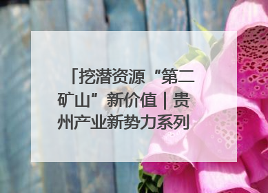挖潜资源“第二矿山”新价值｜贵州产业新势力系列报道之十四