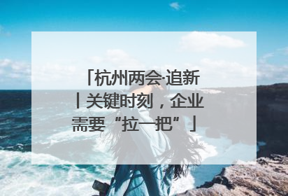 杭州两会·追新丨关键时刻，企业需要“拉一把”