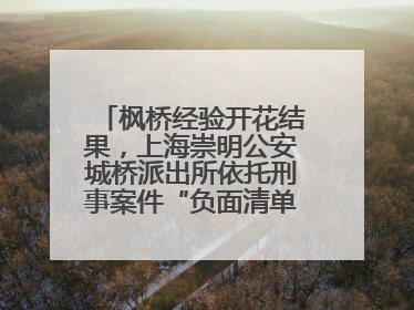 枫桥经验开花结果，上海崇明公安城桥派出所依托刑事案件“负面清单”强化派出所“主防”