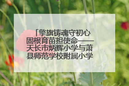 擎旗铸魂守初心 固根育苗担使命——天长市炳辉小学与萧县师范学校附属小学结对共建活动纪实