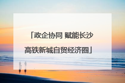 政企协同 赋能长沙高铁新城自贸经济圈