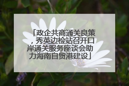 政企共商通关良策，秀英边检站召开口岸通关服务座谈会助力海南自贸港建设