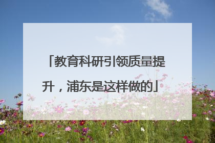 教育科研引领质量提升，浦东是这样做的