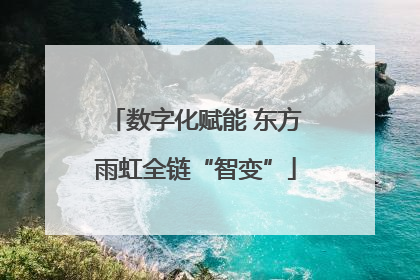 数字化赋能 东方雨虹全链“智变”