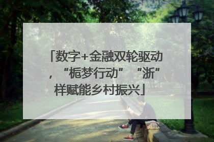 数字+金融双轮驱动，“栀梦行动”“浙”样赋能乡村振兴