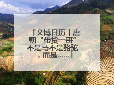 文博日历丨唐朝“带货一哥”不是马不是骆驼，而是……