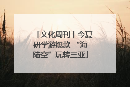 文化周刊丨今夏研学游爆款 “海陆空”玩转三亚