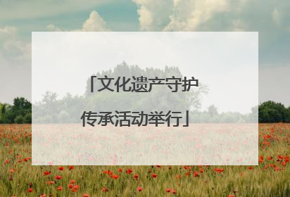 文化遗产守护传承活动举行