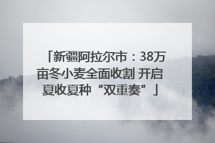 新疆阿拉尔市：38万亩冬小麦全面收割 开启夏收夏种“双重奏”