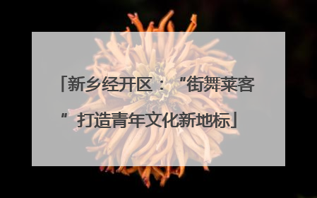 新乡经开区：“街舞莱客”打造青年文化新地标